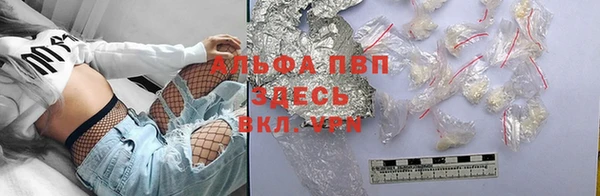 шишки Баксан