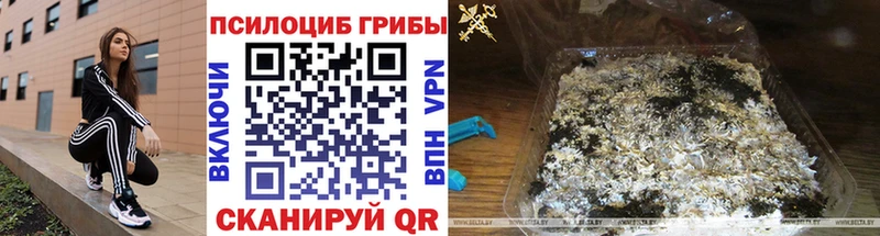 KRAKEN ссылка  Коммунар  Псилоцибиновые грибы прущие грибы  цены  